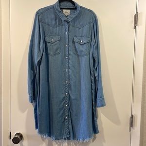 Rails Chambray Dress with Pearl Snap Buttons and frayed hem